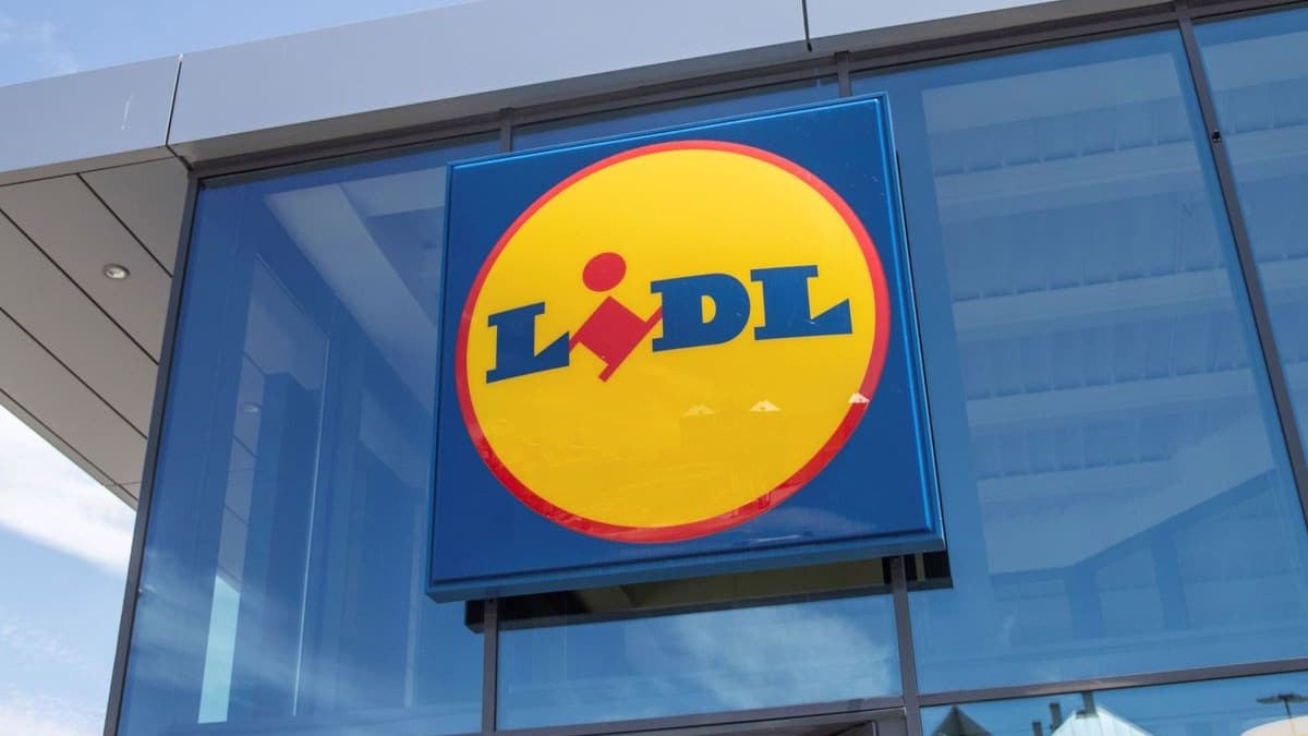 Au RSA et surendettée, elle dépense 2 000 euros chez Lidl, le verdict tombe