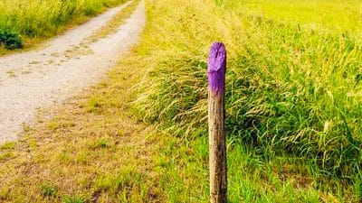 Si vous voyez un poteau de clôture violet sur la route, vous devez savoir la signification à tout prix