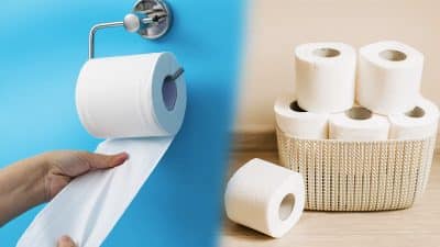 Le papier toilette c'est bientôt fini, voici son alternative étonnante pour le remplacer