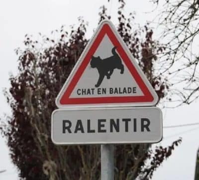 Ce nouveau panneau débarque sur les routes en France, sa signification à absolument connaître