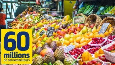 Ces fruits stars de l’été en supermarché à ne surtout pas acheter selon 60 Millions de consommateurs