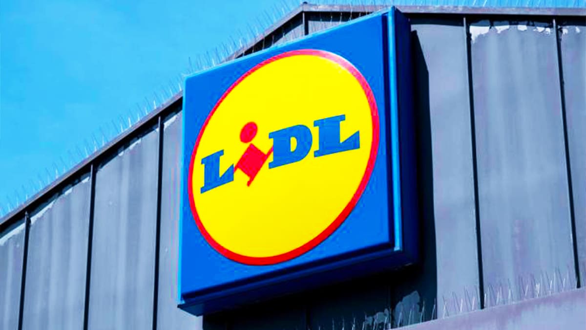 Adieu les barbecues : cet appareil inédit chez Lidl pour cuisiner à l’extérieur va les remplacer