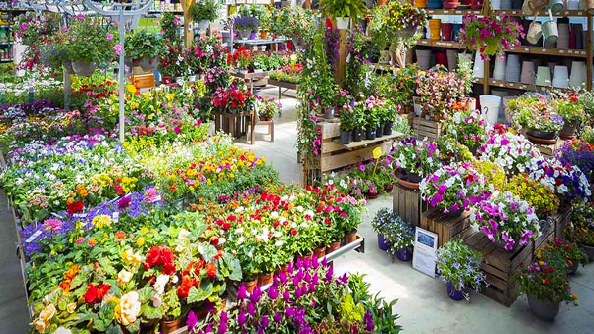 Cette célèbre enseigne de jardinage va fermer de nombreux magasins en France