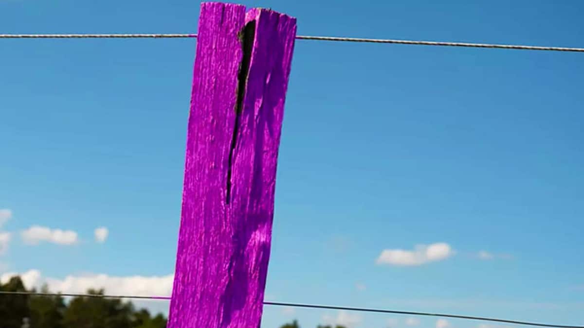 La signification de ce poteau de clôture violet sur la route que vous devez absolument connaître