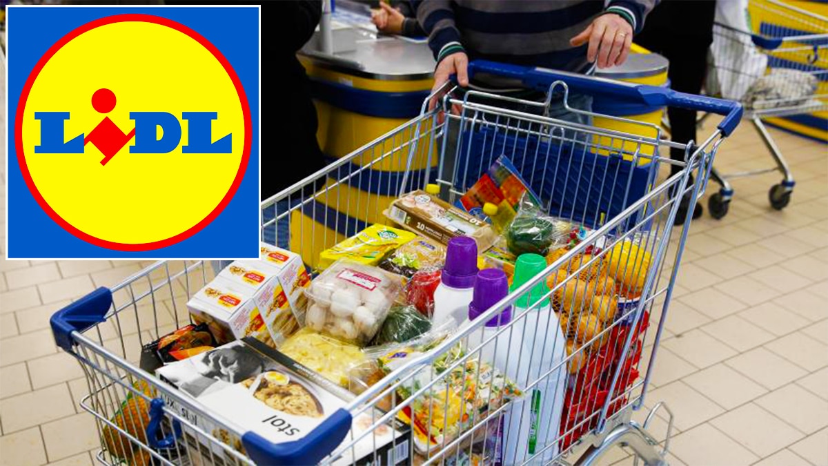 Au RSA et criblée de dettes, elle fait ses courses chez Lidl et dépense 2 000€, le verdict tombe