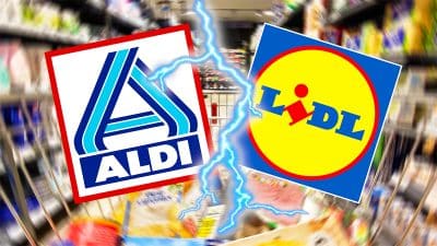 Aldi vs Lidl : quel discounter est le moins cher ? Une réponse qui va en étonner plus d’un