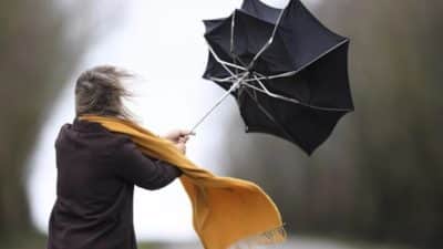 Alerte météo : une tempête prévue pour les jours prochains en France ? Les prévisions dévoilées