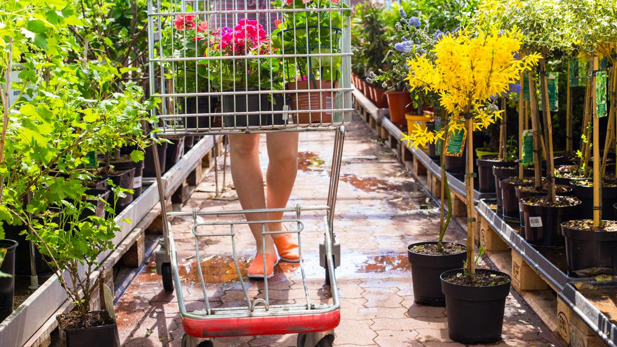 Cette célèbre enseigne de jardinage phare en France ferme définitivement en septembre ce magasin