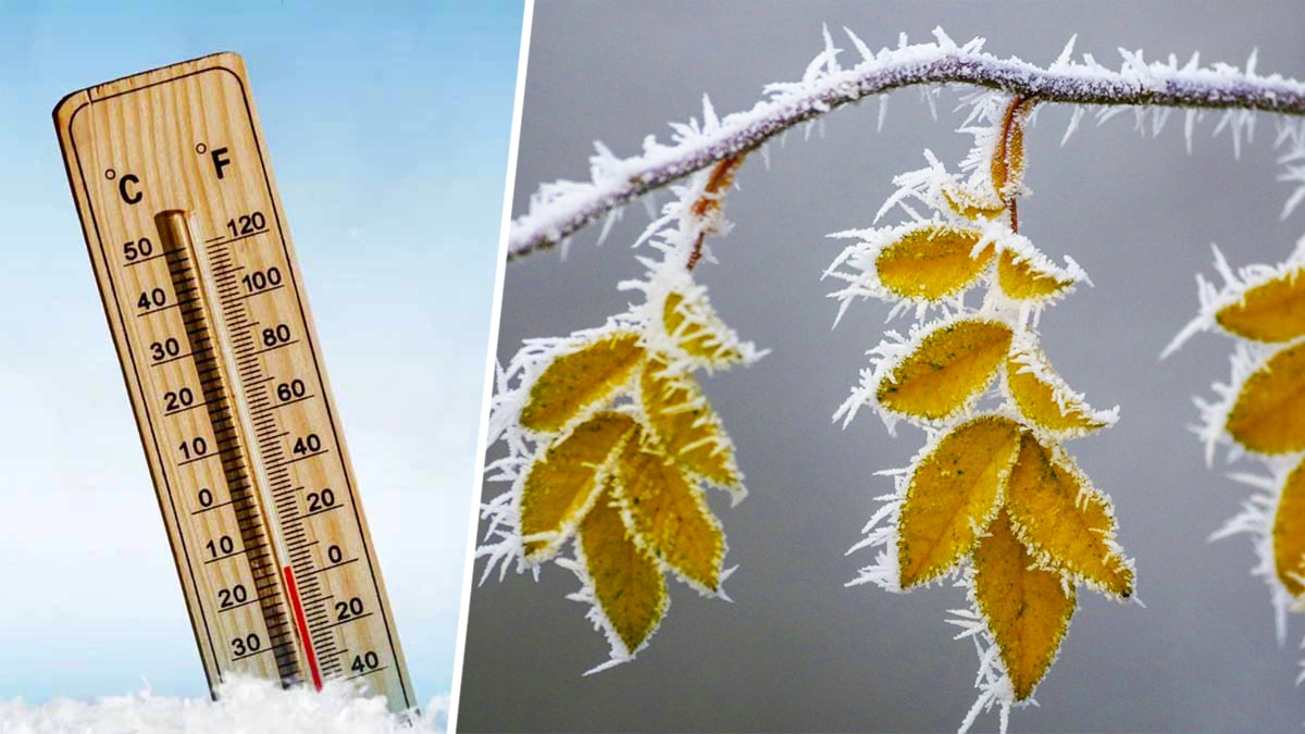 Météo : chute des températures et risque de gelées blanches ? Les prévisions pour ce week-end