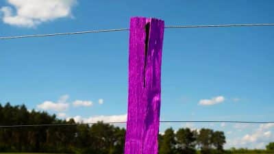 La signification de ce poteau sur le bord de la route que vous devez absolument connaître