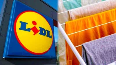 Lidl sort l’accessoire indispensable à moins de 20 € pour vite sécher votre linge humide