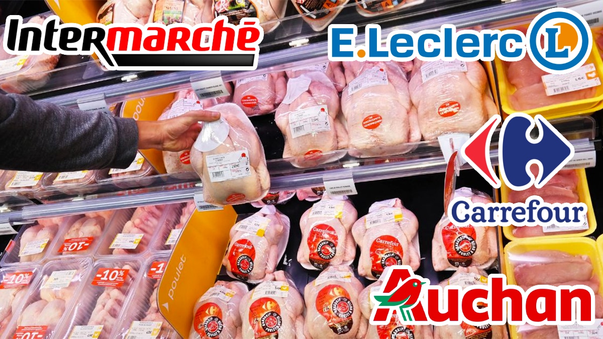 Ce poulet fait l'objet d'un rappel produit urgent chez Leclerc, Auchan, Intermarché, Super U, Carrefour, il est contaminé