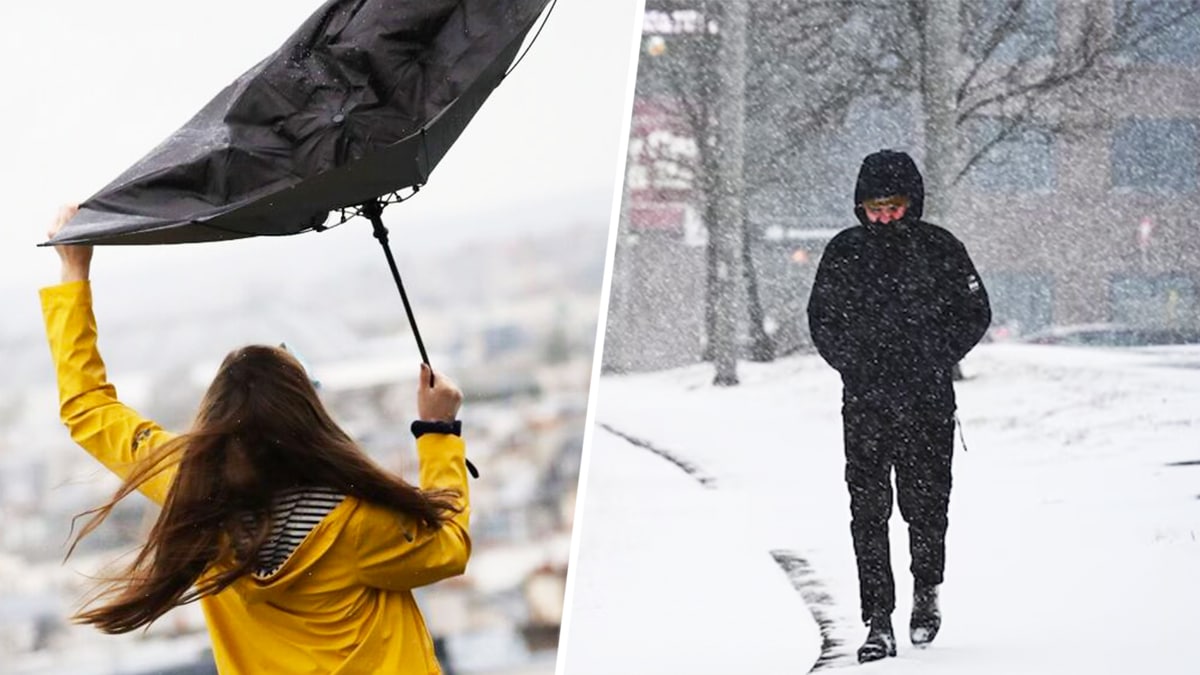 Tendances météo : semaine agitée, tempête, pluie, neige ? À quoi vous attendre