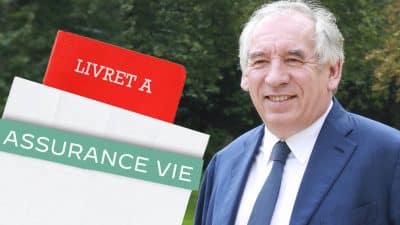 Impôts sur les livrets d’épargne et l’assurance-vie: François Bayrou prêt à attaquer l’argent des Français