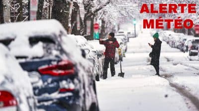 Météo : froid glacial et neige ou redoux pour le week-end prochain ? Les prévisions attendues