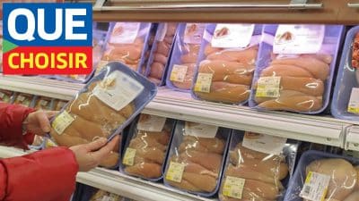 Ce poulet est le pire de tous pour votre santé, l'UFC-Que Choisir alerte les consommateurs