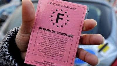 Le permis de conduire rose vous permet-il réellement de ne pas perdre de points ? Ce que dit la loi