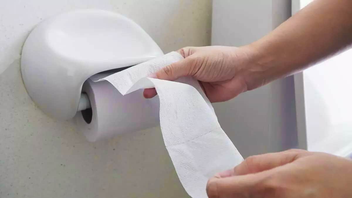 S’essuyer avec du papier toilette, des lingettes ou de l’eau : quel est le plus hygiénique ?