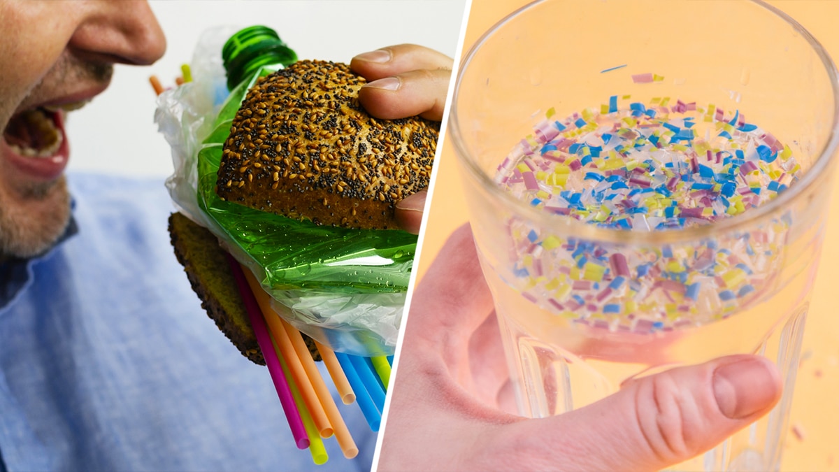 Ces 5 aliments et boissons que nous consommons tous contiennent le plus de microplastiques