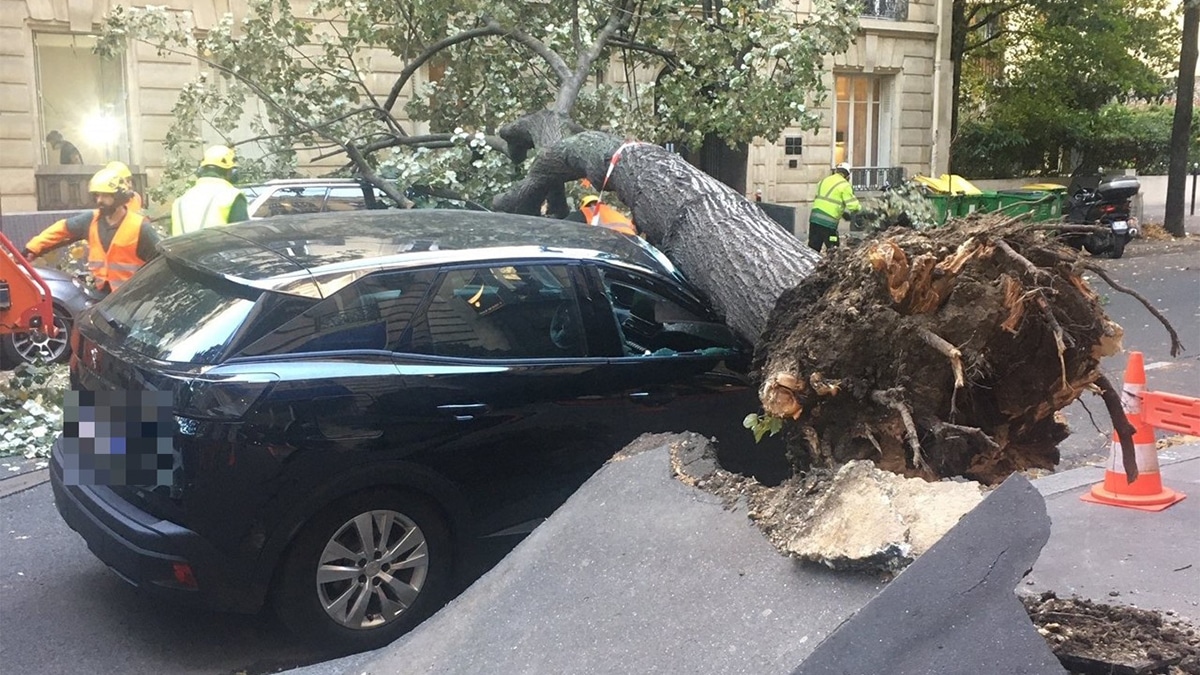 Météo : alerte tempête Jana, des rafales de vent à 130 km/h et de la pluie attendues en France